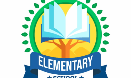 Escola 01 • 5˚ Ano • Sala 01